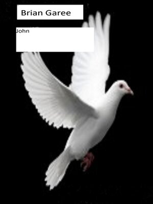 cover image of John